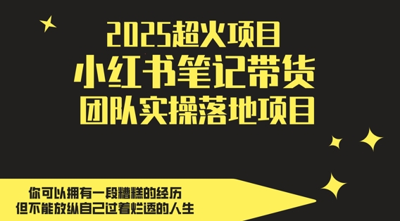 2025超火项目，副业最佳选择，小红书笔记带货团队实操落地项目，，轻松日入5张-木石资源网