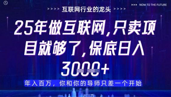 什么！25年你还在找项目做？风口早就变了，卖项目才是稳挣不赔【揭秘】-木石资源网