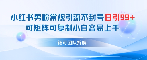 小红书男粉常规引流不封号日引99+变现简单 可矩阵可复制小白容易上手-木石资源网