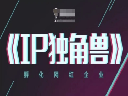 IP独角兽，孵化网红企业，ip教程-木石资源网