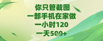 你只管截图，一部手机在家做，苹果安卓都可以，一天5张+【揭秘】-木石资源网