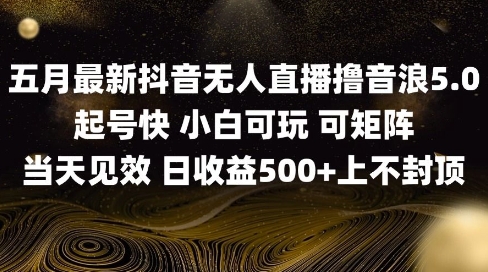 2025五月最新无人直播撸音浪单日产出5张+实操教程【揭秘】-木石资源网
