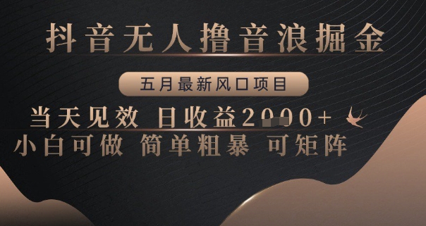 抖音无人撸音浪掘金，五月最新风口项目，当天见效，日收益多张，小白可做简单粗暴可矩阵【揭秘】-木石资源网