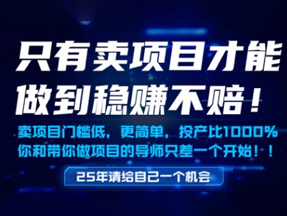 只有卖项目才能做到稳挣不赔，门槛低，更简单，你也可以年入百个W【揭秘】-木石资源网