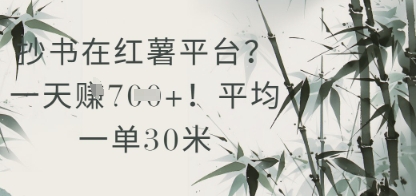 抄书在小红薯平台？平均一单30米，一天收益几张！-木石资源网