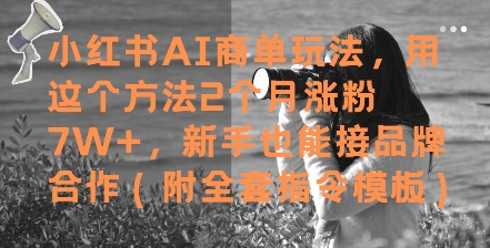 小红书AI商单玩法，用这个方法2个月涨粉7W+，新手也能接品牌合作(附全套指令模板)-木石资源网
