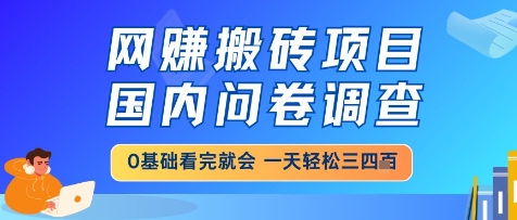 网创搬砖项目，国内问卷调查，小白轻松上手，一天三四张的也不难，干就完了【揭秘】-木石资源网