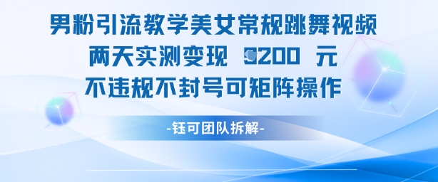 男粉引流教学美女常规跳舞视频两天实测变现1k+，不违规不封号可矩阵操作-木石资源网