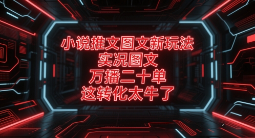 小说推文图文新玩法，实况图文，万播二十单，这转化太牛了！-木石资源网