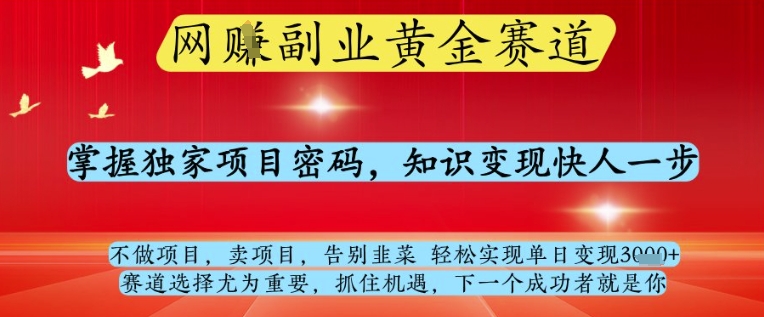网创副业黄全赛道，掌握独家项目密码，知识变现快人一步，告别韭菜轻松实现单日变现1k+【揭秘】-木石资源网