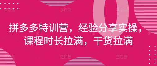 拼多多特训营，经验分享实操，课程时长拉满，干货拉满(更新25年4月)-木石资源网