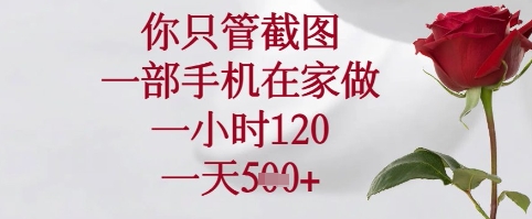 你只管截图，一部手机在家可以做，一小时120.一天5张+【揭秘】-木石资源网