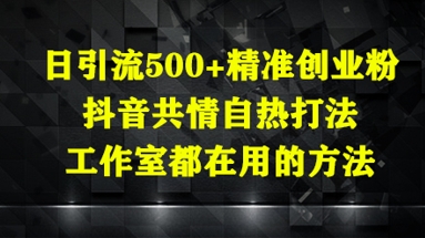 日引流500+精准创业粉，抖音共情自热打法，工作室都在用的方法-木石资源网