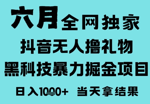 25年6月高爆抖音无人直播最新撸音浪掘金项目，门槛低小白可做，无脑日入1k，可矩阵放大【揭秘】-木石资源网