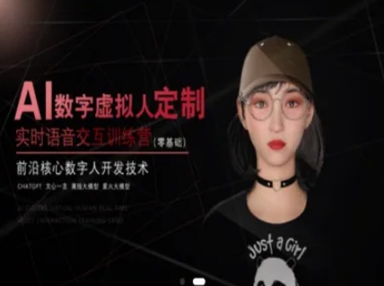 AI数字虚拟人定制，实时语音交互训练营（零基础），前沿核心数字人开发技术-木石资源网