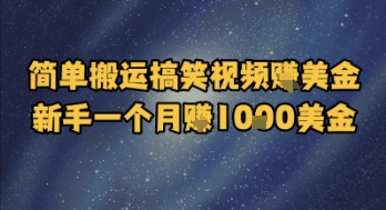 简单搬运搞笑视频挣美金，新手一个月入1k美金-木石资源网