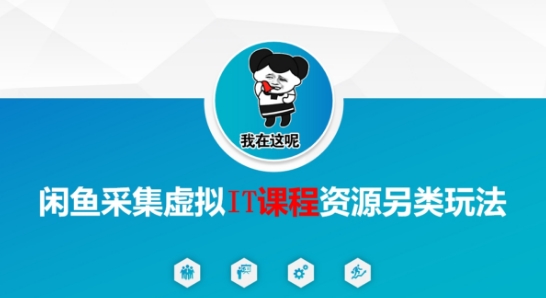 闲鱼采集虚拟IT课程资源另类玩法，干货满满-木石资源网