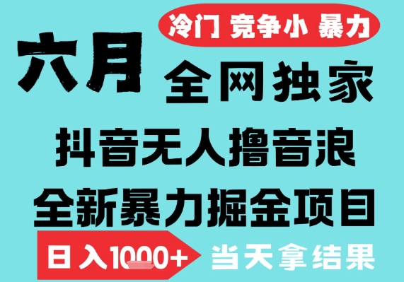 2025年6月高爆抖音无人直播最新撸音浪掘金项目，无脑日入1k+，低门槛小白可做，可矩阵放大【揭秘】-木石资源网