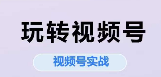 玩转视频号，视频号实战系列课-木石资源网