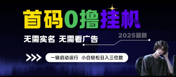首码0撸挂G项目，无需实名无需看广告 一键启动运行，小白轻松日入三位数【揭秘】-木石资源网