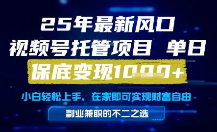 25年最新风口，视频号托管项目，单日保底变现1k+，手把手教学【揭秘】-木石资源网