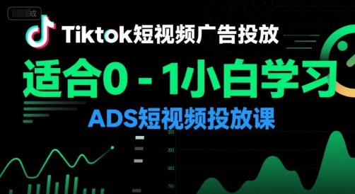 Tiktok短视频广告投放，适合0-1小白学习ADS短视频投放课-木石资源网