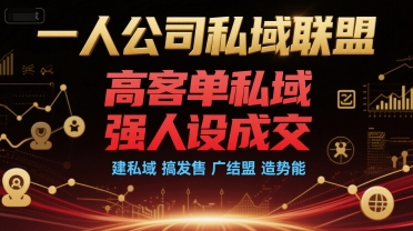 一人公司私域联盟，高客单私域，强人设成交，建私域 搞发售 广结盟 造势能-木石资源网