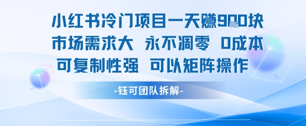 小红书冷门项目一天收益9张，市场需求大，0成本，可复制性强可以矩阵操作-木石资源网