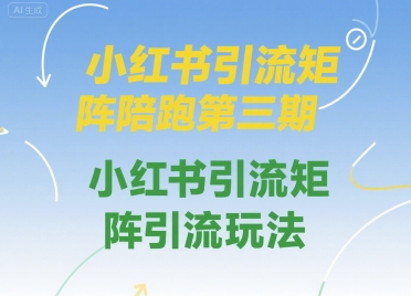 小红书引流矩阵陪跑第三期，小红书引流矩阵引流玩法-木石资源网