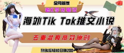 海外tiktok小说推文暴力项目，高停留率，高转化率，上手后一天搞顿饭钱不是问题-木石资源网