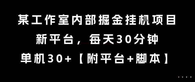 某工作室内部掘金挂G项目，新平台，每天30分钟，单机30+【揭秘】-木石资源网