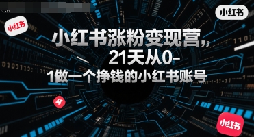 小红书涨粉变现营，21天从0-1做一个挣钱的小红书账号-木石资源网