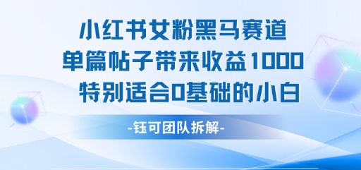 小红书女粉黑马赛道单篇帖子带来收益1k+，特别适合0基础的小白-木石资源网