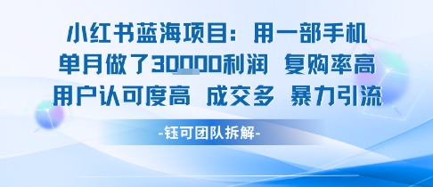 小红书蓝海项目，一部手机单月做了3W利润，小白也能月入过1W用户认可度高成交多-木石资源网
