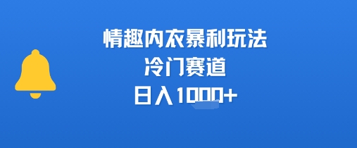 情趣内衣暴利玩法，冷门赛道，日入1k+-木石资源网