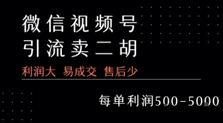 视频号卖二胡教程，利润大 易成交 售后少，一单利润5张+-木石资源网