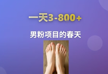 AI一键生成美女素材，一天收益3-8张，男粉项目的春天-木石资源网