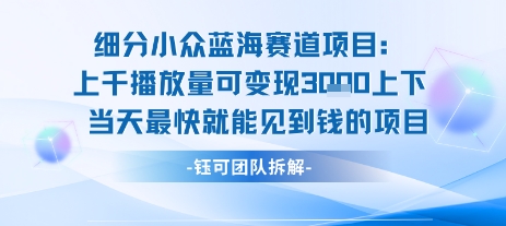 小众蓝海赛道项目：当天变现1k+适合新手操作 +适合长期玩-木石资源网