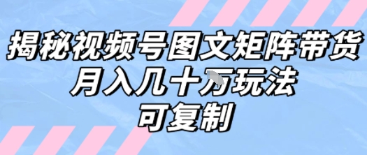解密视频号图文矩阵带货，月入几个W的打法，可复制-木石资源网