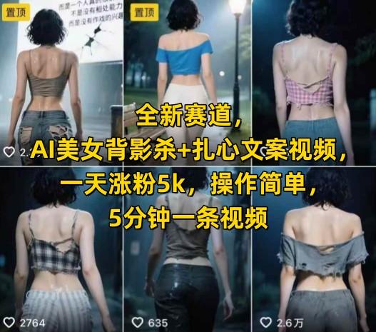 全新赛道，AI美女背影杀+扎心文案视频，一天涨粉5k，操作简单，5分钟一条视频-木石资源网