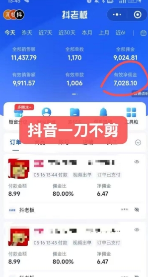抖音短视频一刀不剪带货，不剪辑，不直播，每天发个视频，等着出单获取带货佣金-木石资源网