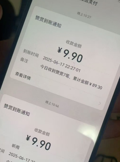 二次元男粉快速变现项目，私域卖虚拟产品，百分利润-木石资源网