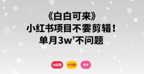 小白可来 小红书项目不需要剪辑 单月3w不是问题-木石资源网