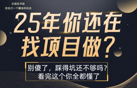 25年，你还在疯狂的找项目吗？别傻了，看完这个你都懂了【揭秘】-木石资源网