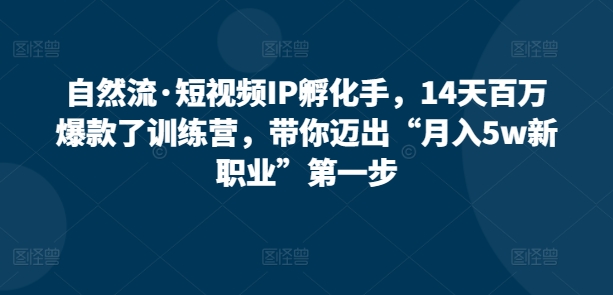 自然流·短视频IP孵化手，14天百万爆款了训练营，带你迈出“月入5w新职业”第一步-木石资源网