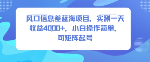 风口信息差蓝海项目，实测一天收益4k+，小白操作简单，可矩阵起号-木石资源网