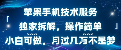苹果手机技术服务，独家拆解，操作简单，小白可做，月过1W不是梦-木石资源网