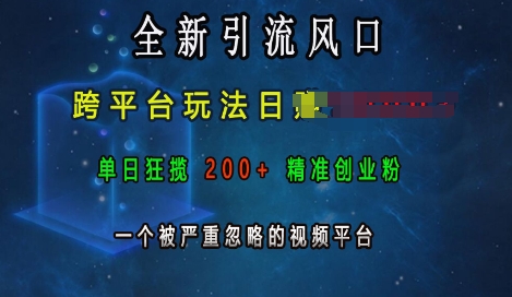 全新引流风口，跨平台玩法日入上k，单日狂揽200+精准创业粉，一个被严重忽略的视频平台-木石资源网