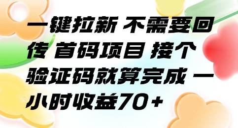 一键拉新 不需要回传 首码项目 接个验证码就算完成 一小时收益70+【揭秘】-木石资源网