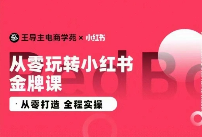 王导主·小红书电商运营实操课，​从零打造  全程实操-木石资源网